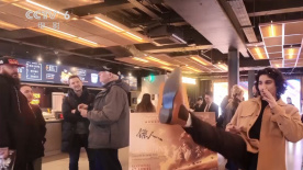 姐姐的爱情树